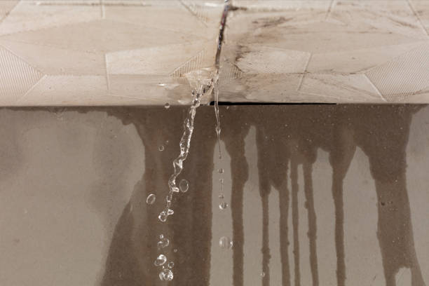 Professional Structural Drying technician working in Grandin, ND